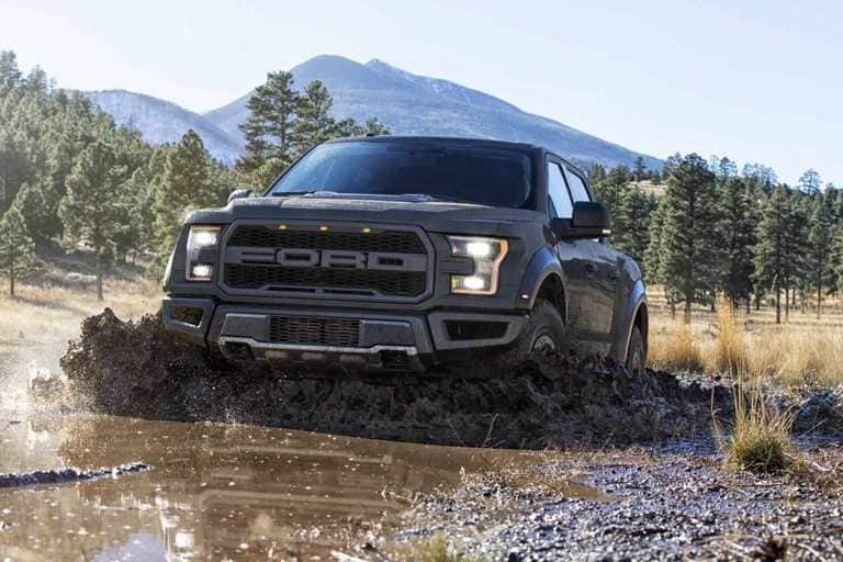 Raptor Raptor